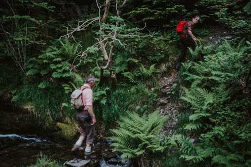 Two individuals are hiking through a lush, green forest. One person is walking across stones in a small stream, while the other is climbing a steep, fern-covered slope. Both are wearing outdoor gear and carrying backpacks, suggesting they are on a nature excursion.