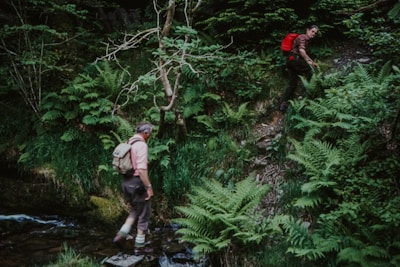 Two individuals are hiking through a lush, green forest. One person is walking across stones in a small stream, while the other is climbing a steep, fern-covered slope. Both are wearing outdoor gear and carrying backpacks, suggesting they are on a nature excursion.