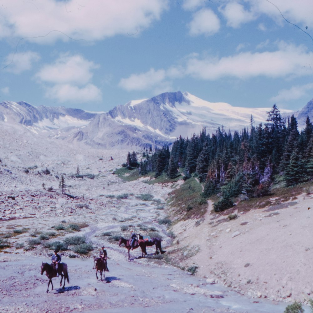 people riding horse on snow-capped mountain