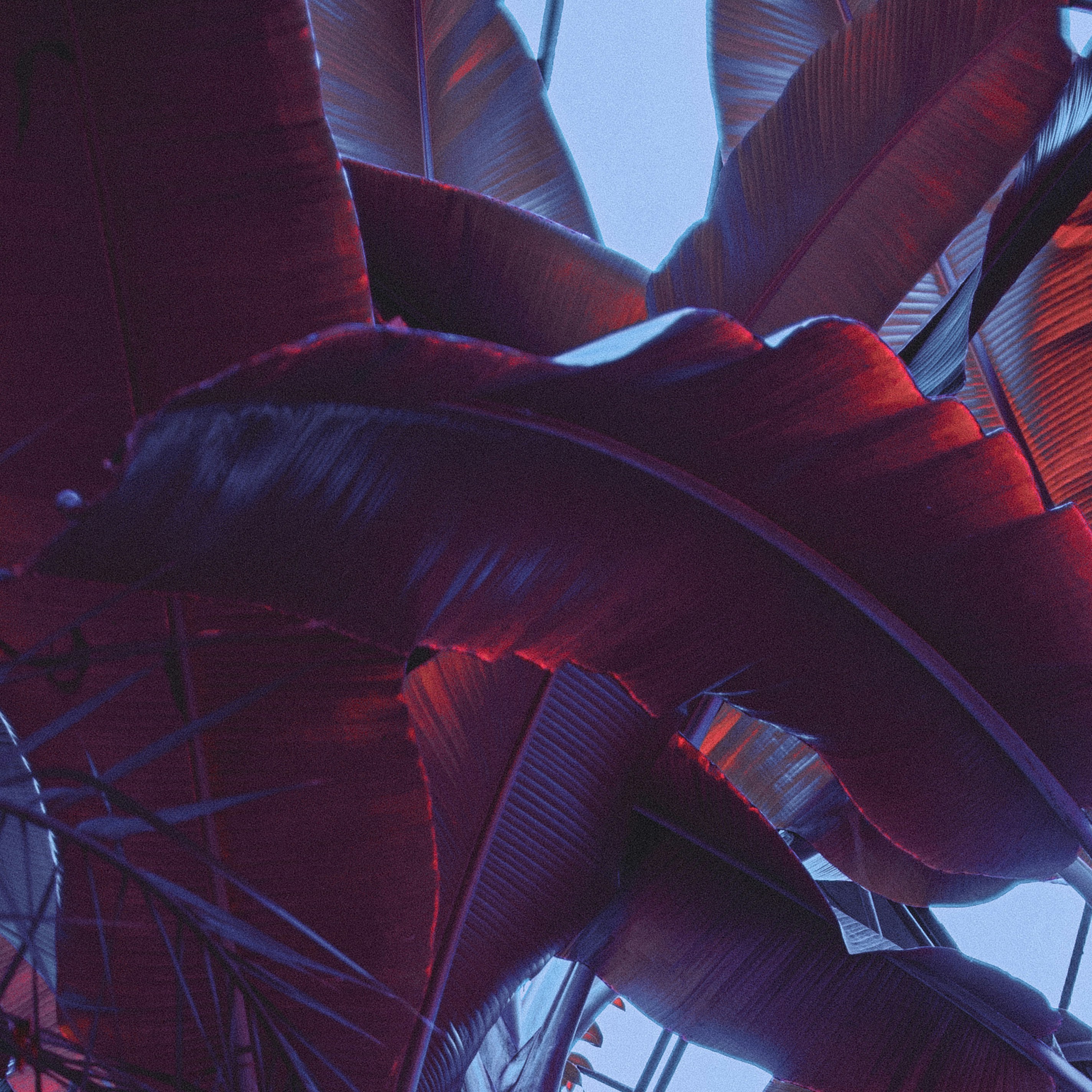 Moral Luck: When Outcomes Aren't in Your Hands