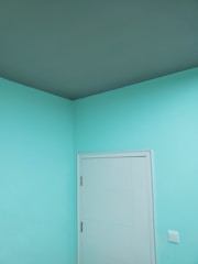 peinture murs, plafond et portes.