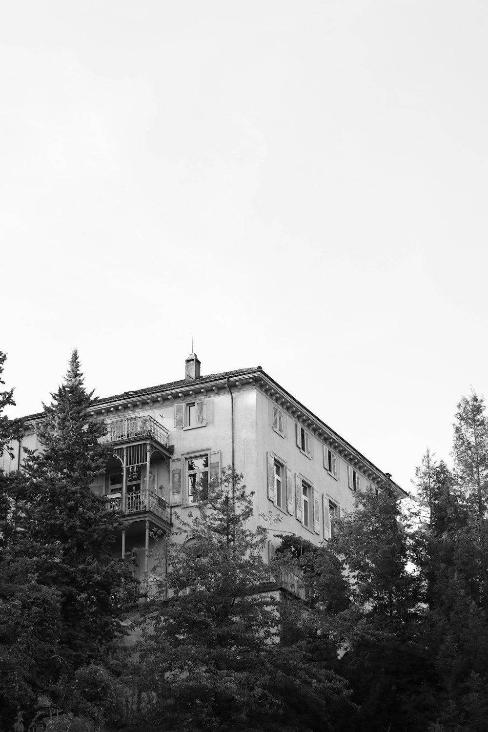 grayscale photography of building surrounded by trees