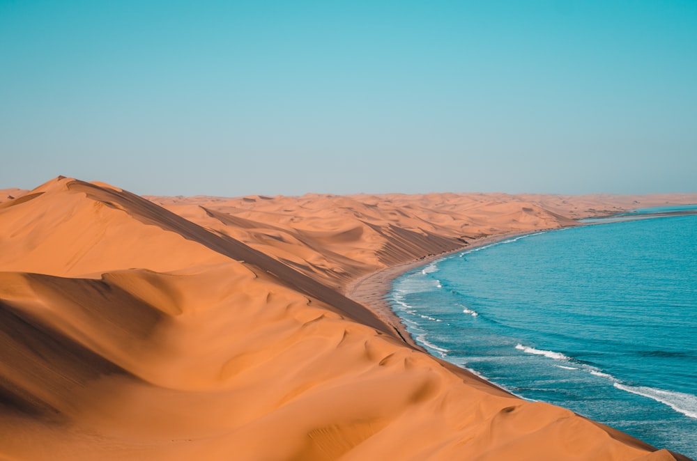 ビーチ沿いの砂漠