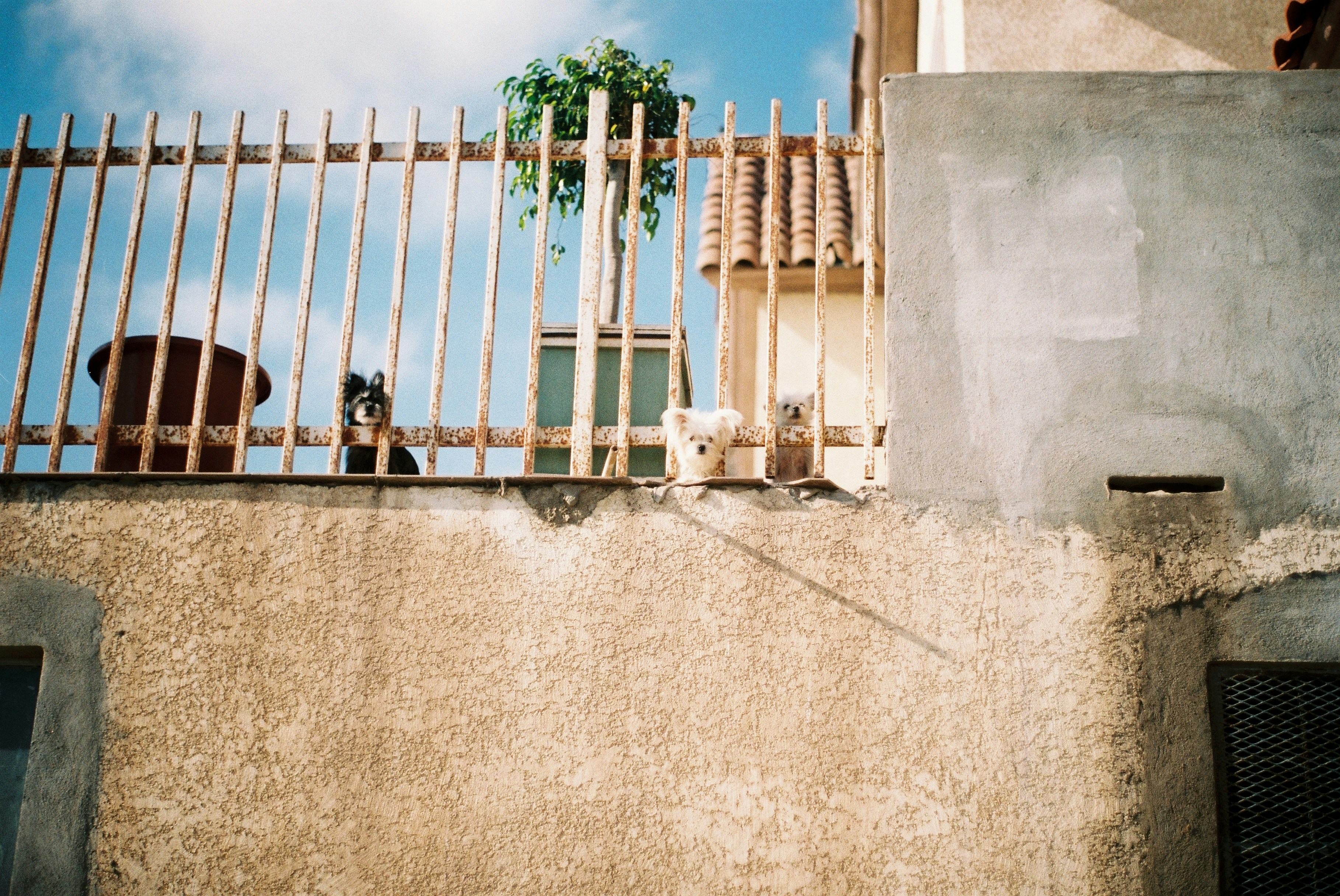 Photo by bhoogenboom