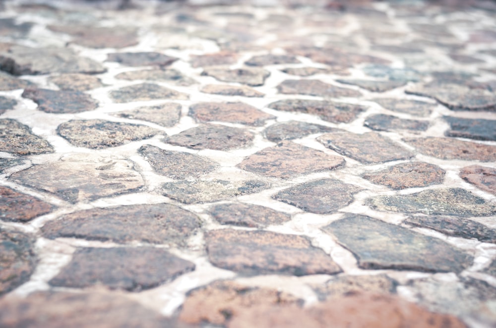 brown tile pavement