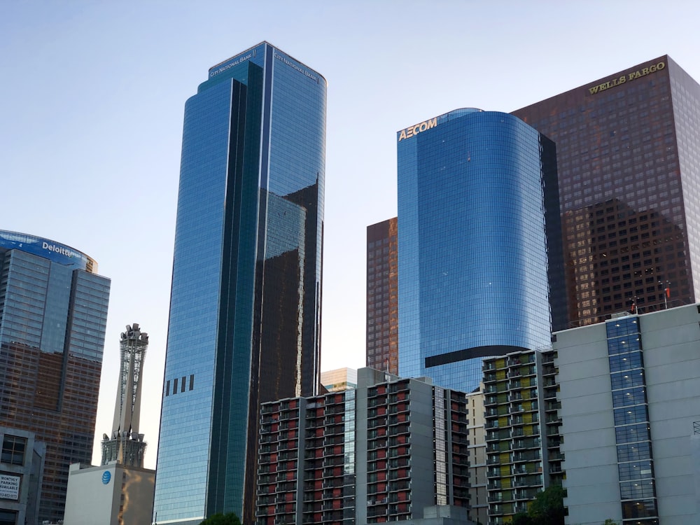 blue and brown buildings