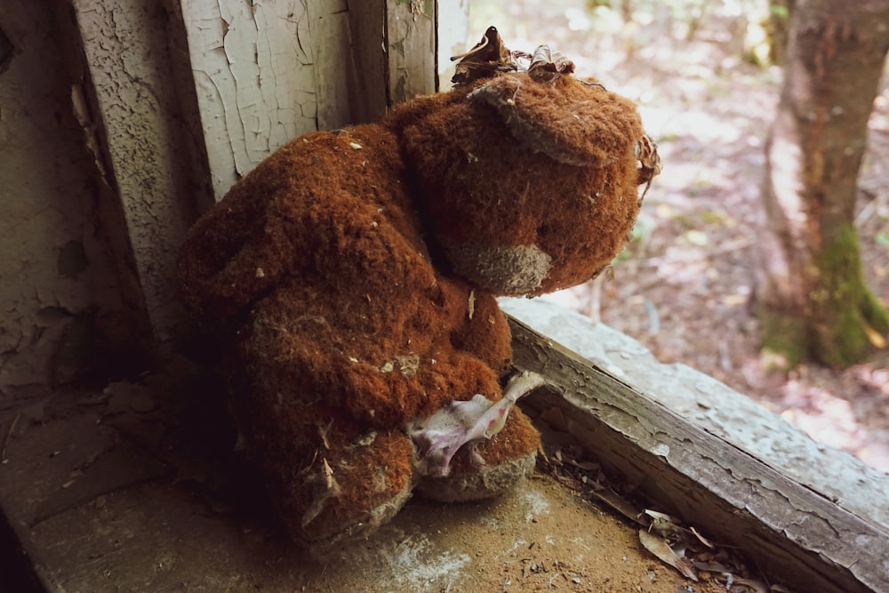 brown bear plush toy