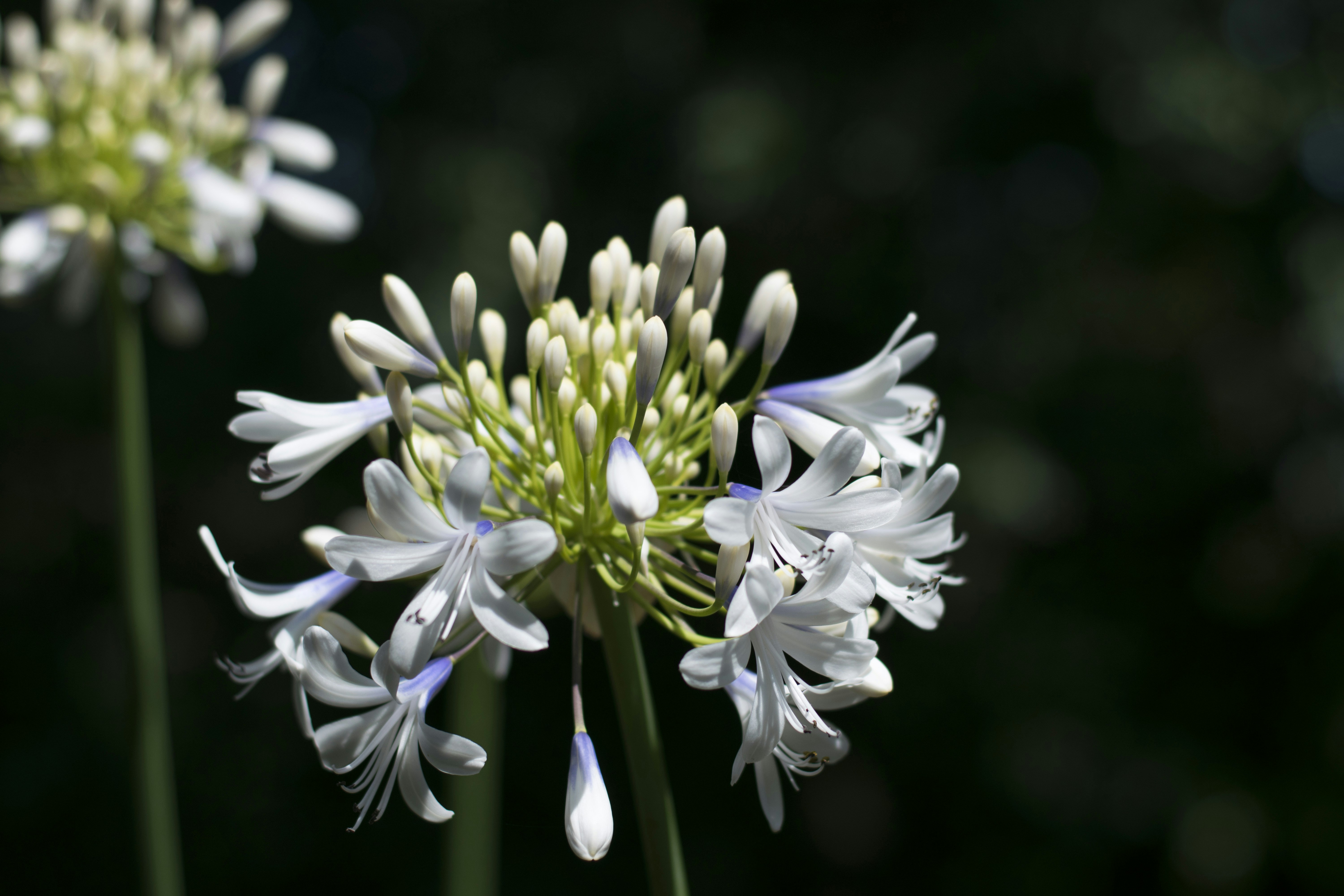 Photo by itsrobcoates