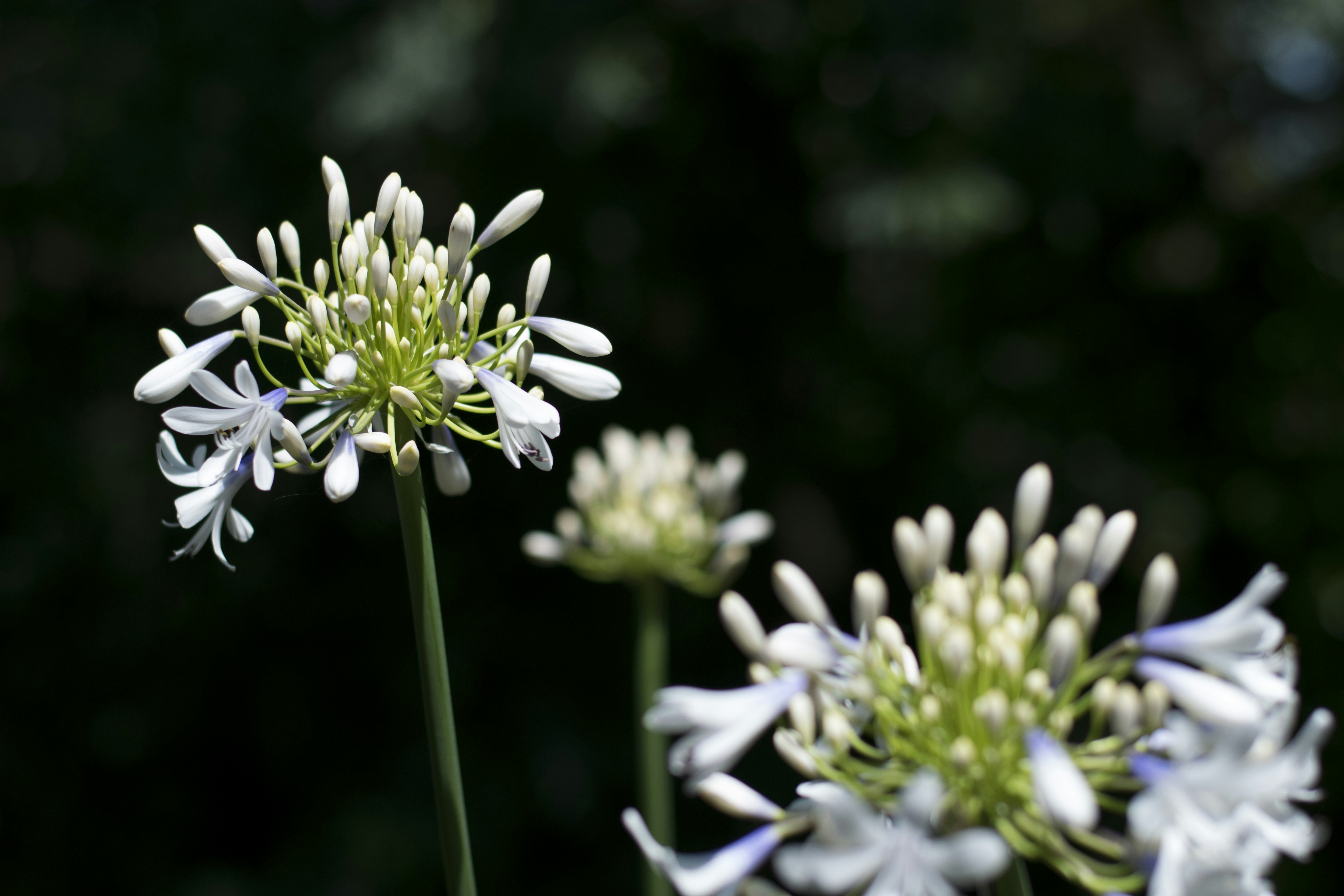 Photo by itsrobcoates