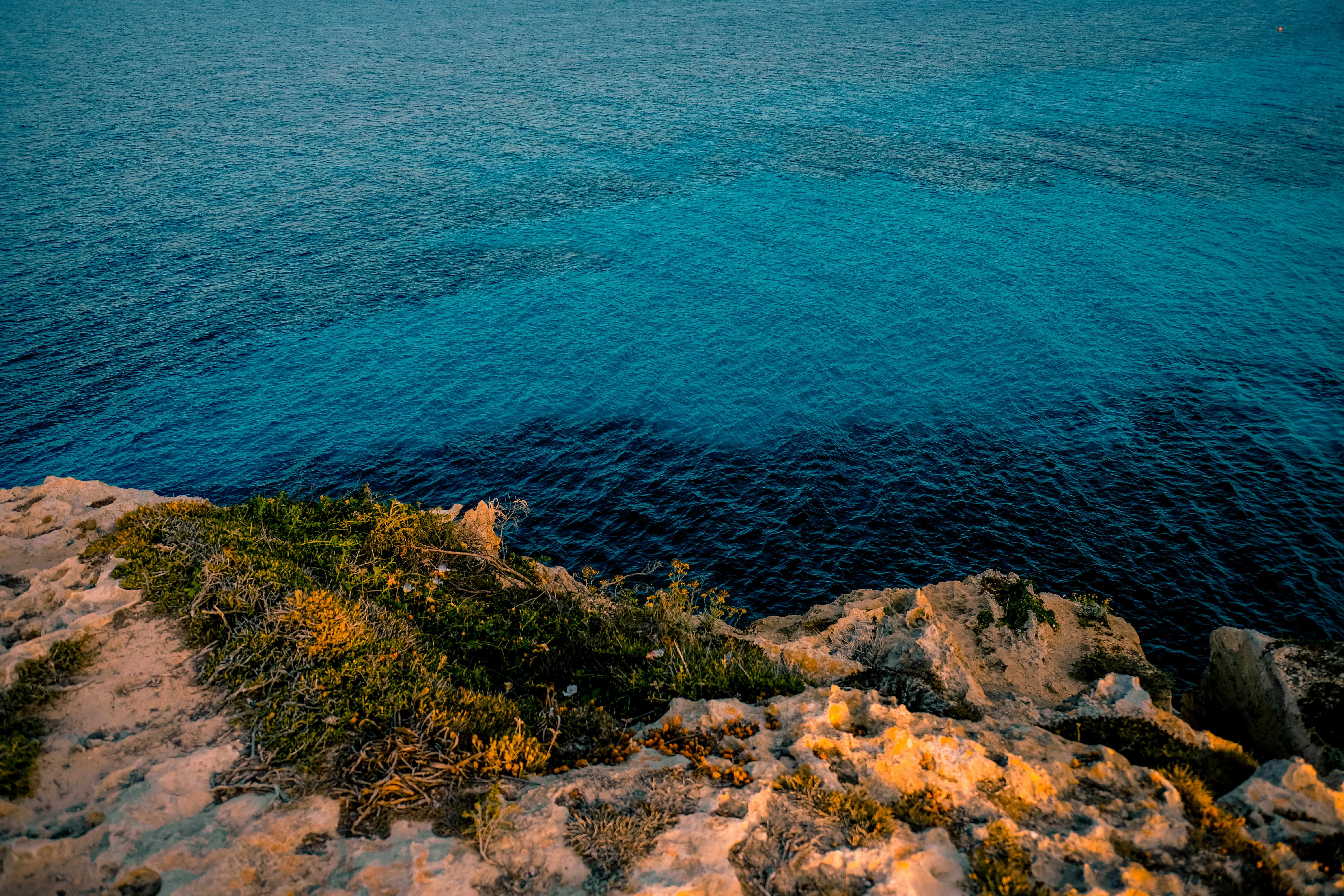 Photo by francesco_ungaro