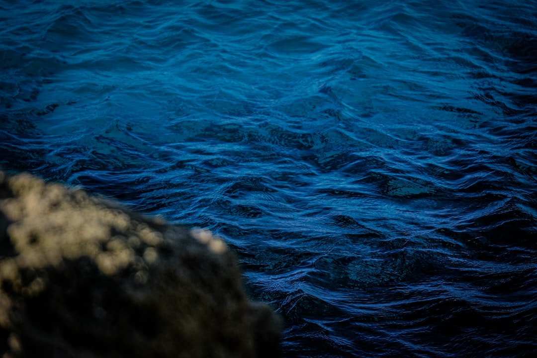 shallow focus photo of body of water
