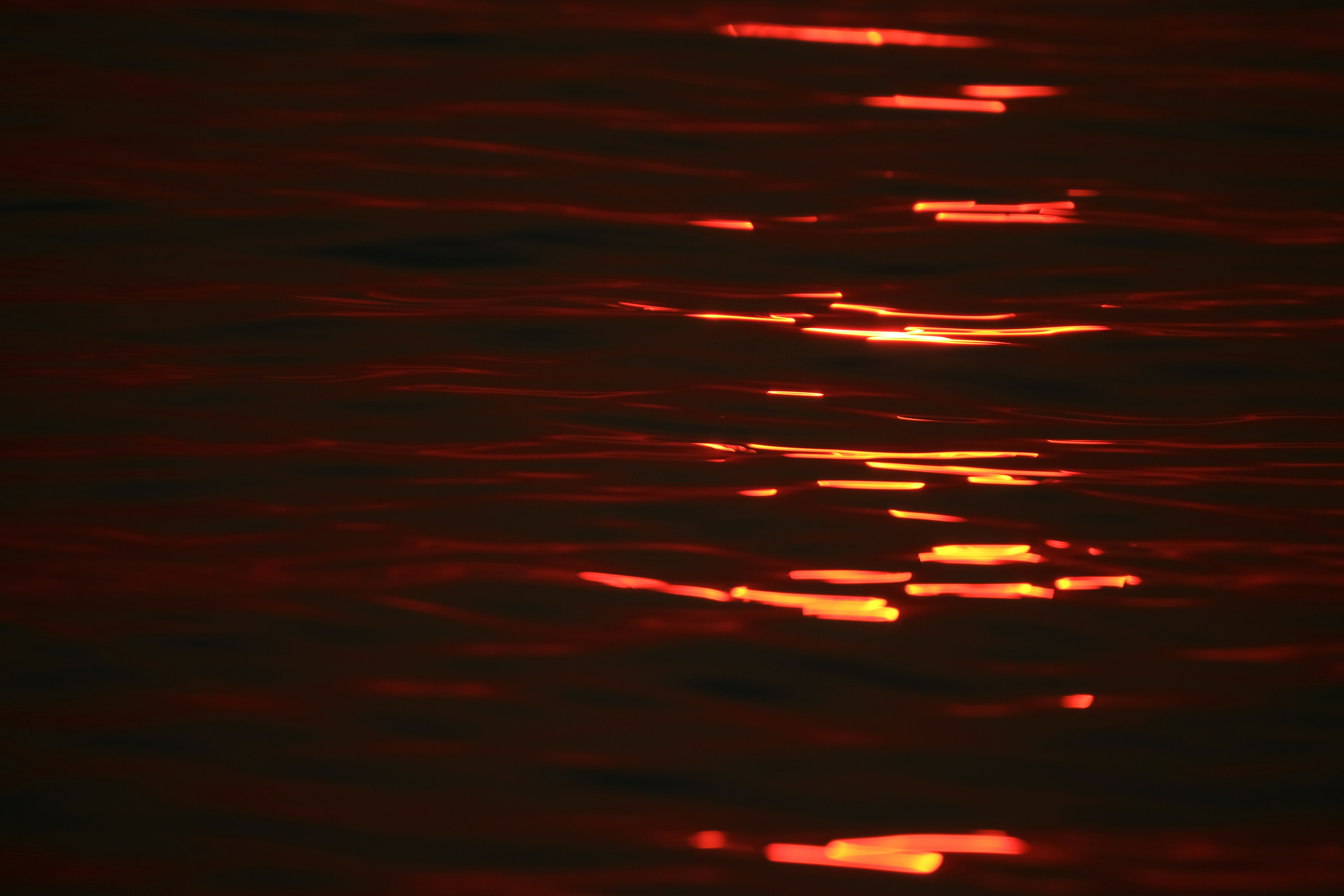 Photo by francesco_ungaro