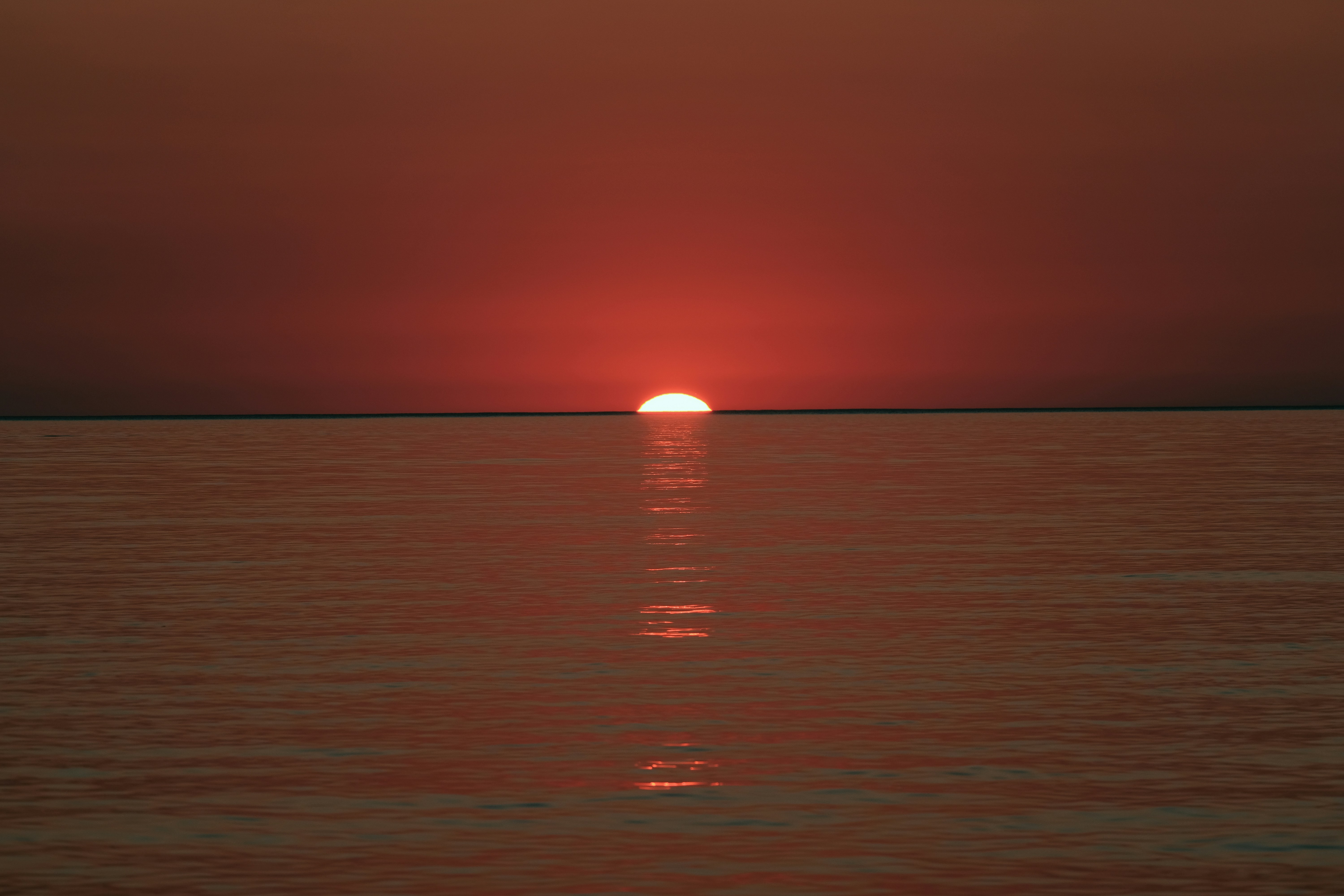 Photo by francesco_ungaro