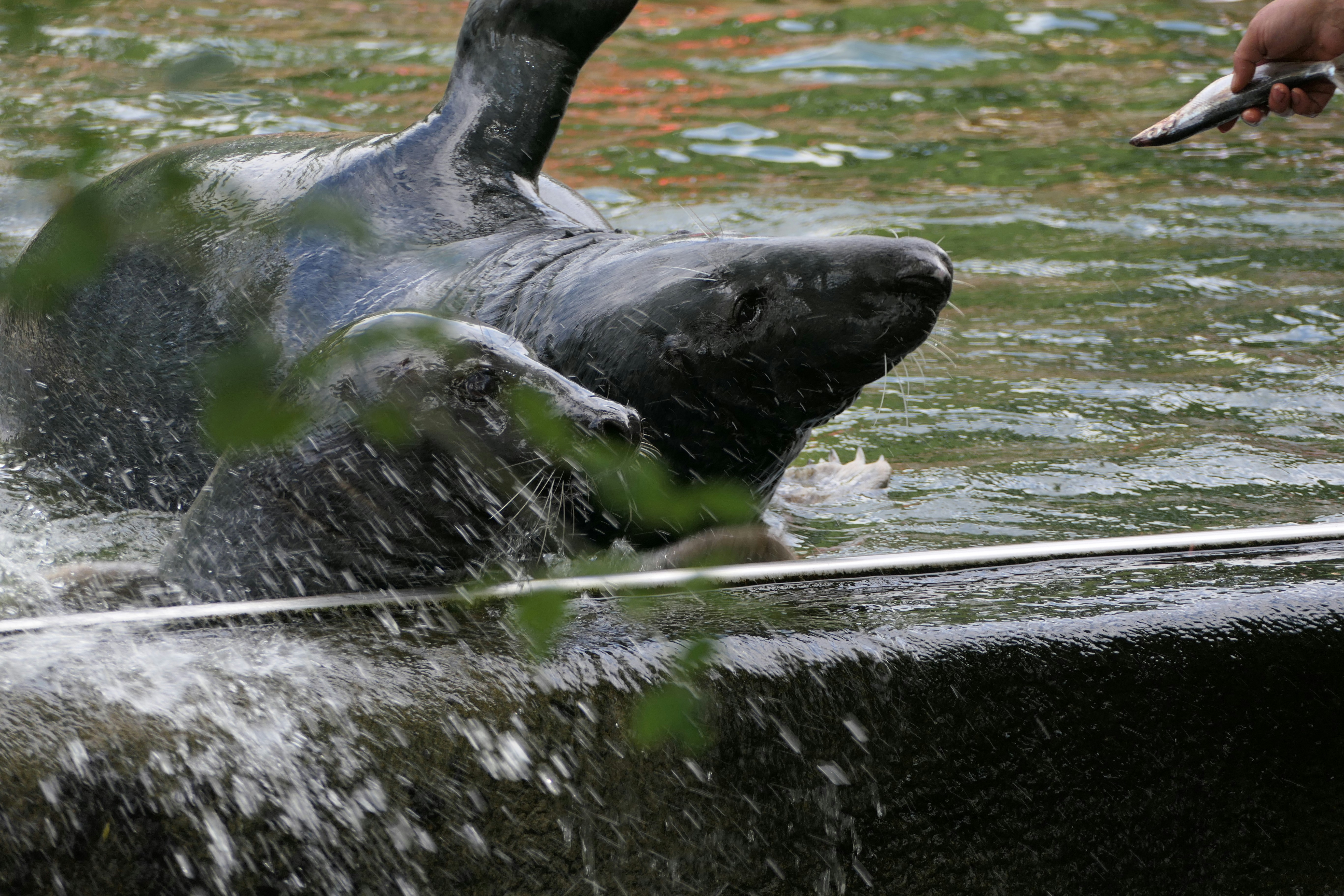 Photo by martinvlnasphotographer