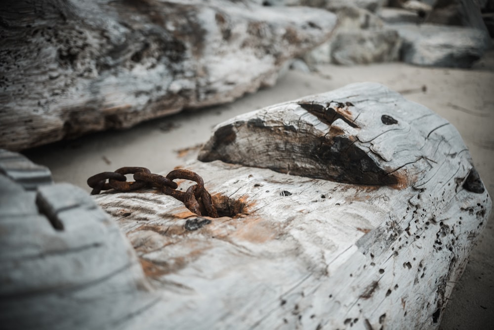 brown metal chain