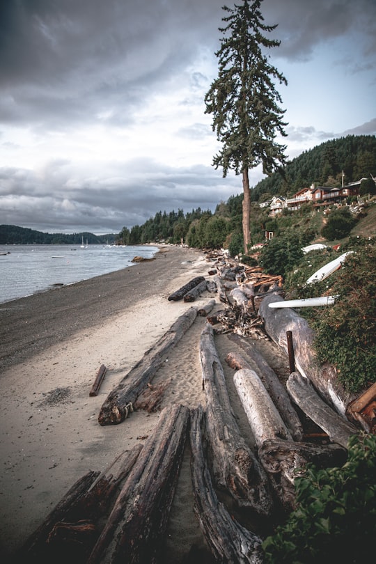 Sunshine Coast things to do in Sechelt