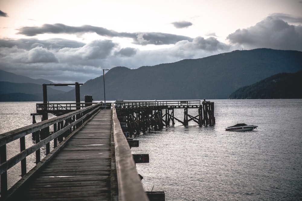 brown wooden dock