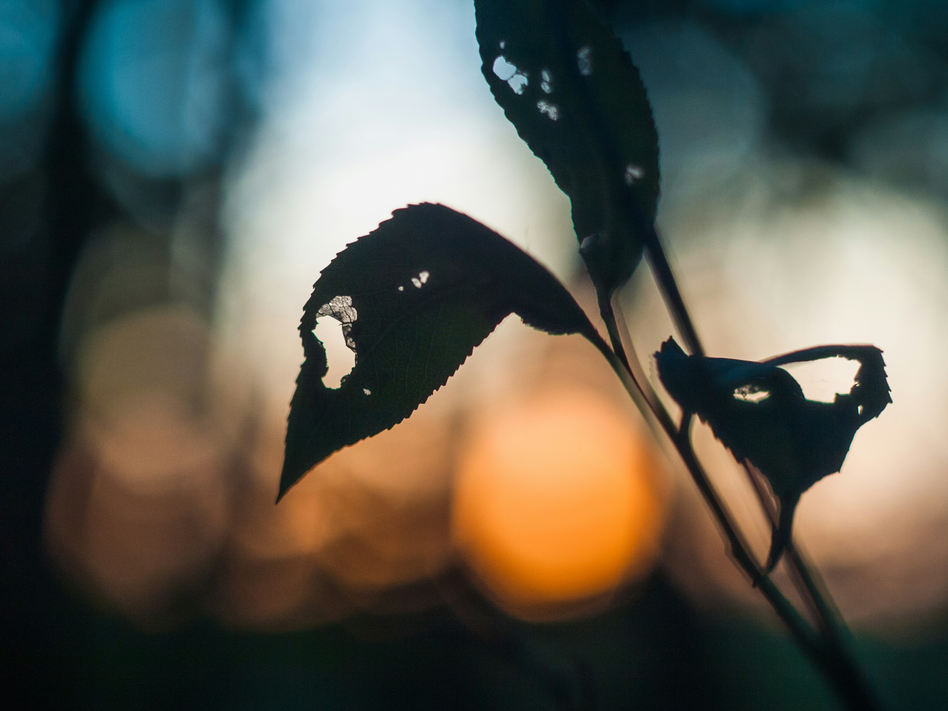 Photo by filip_sutkowy