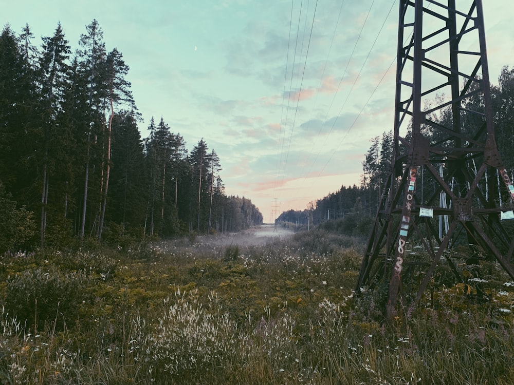 black metal posts near trees