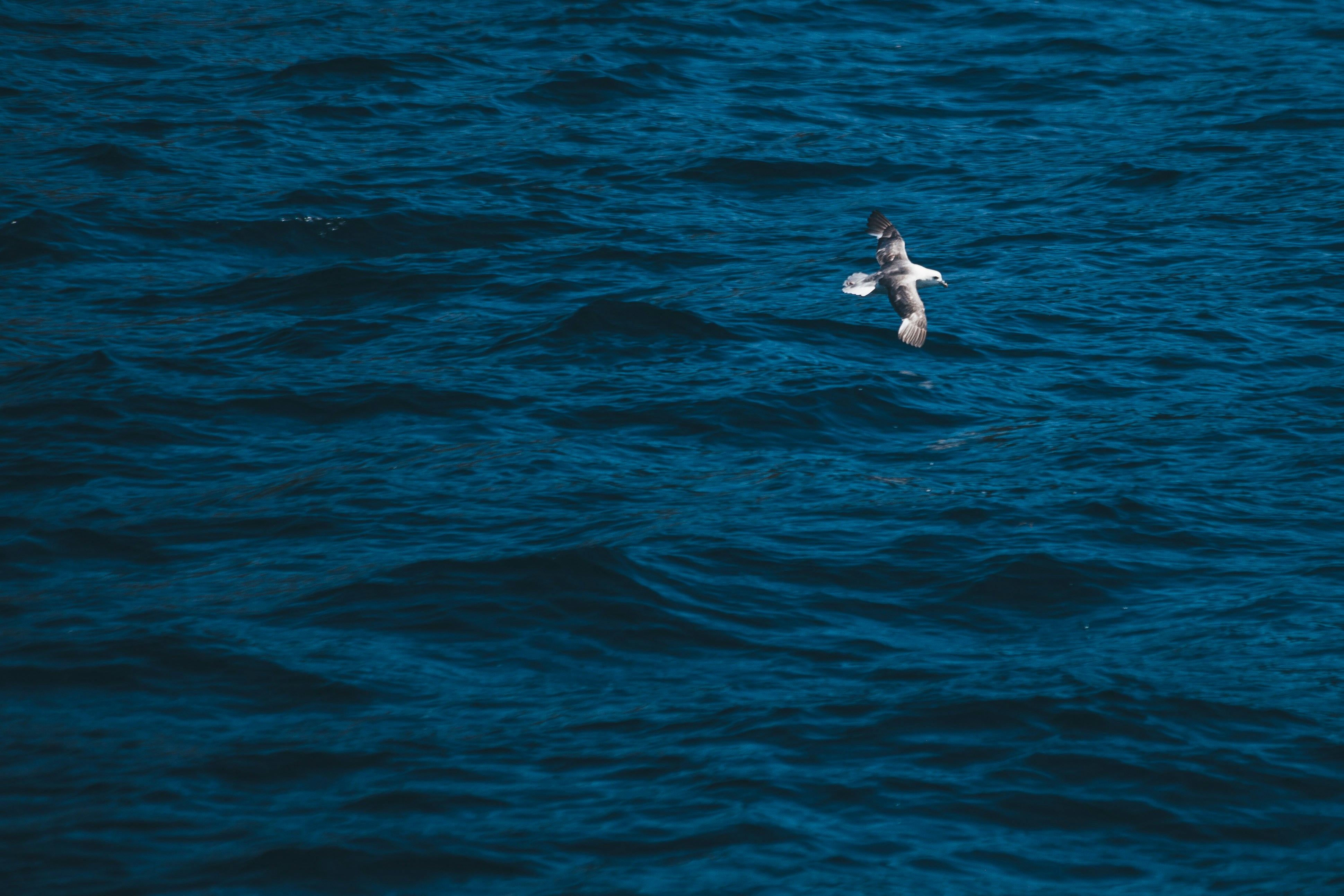 Photo by plasticmind