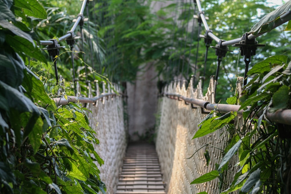 brown and black bridge close-up photography