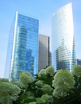 buildings during daytime