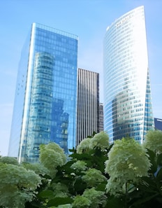 buildings during daytime