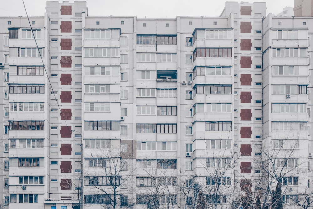 white and black concrete buildings at daytime