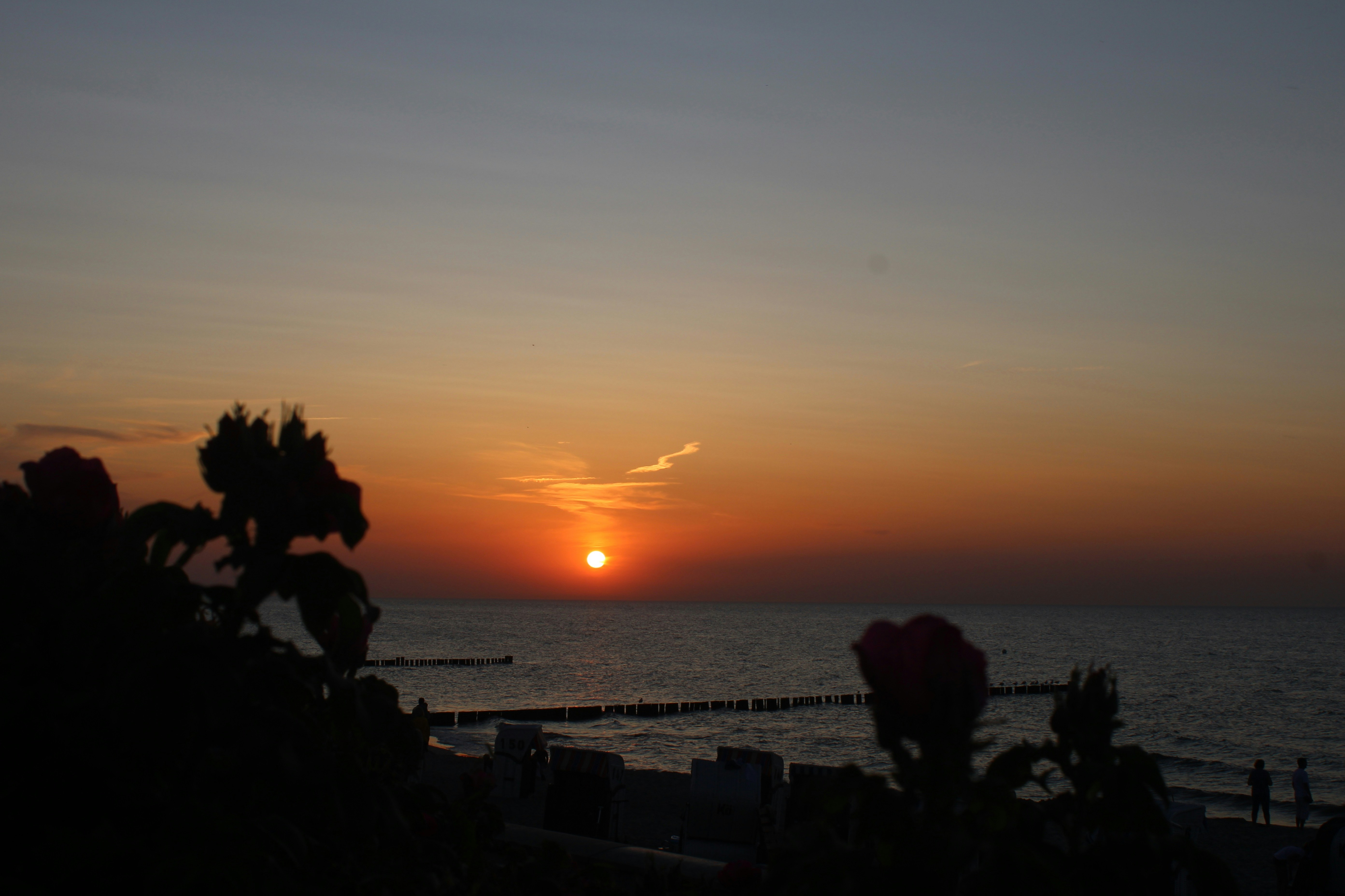 Photo by caropaulick