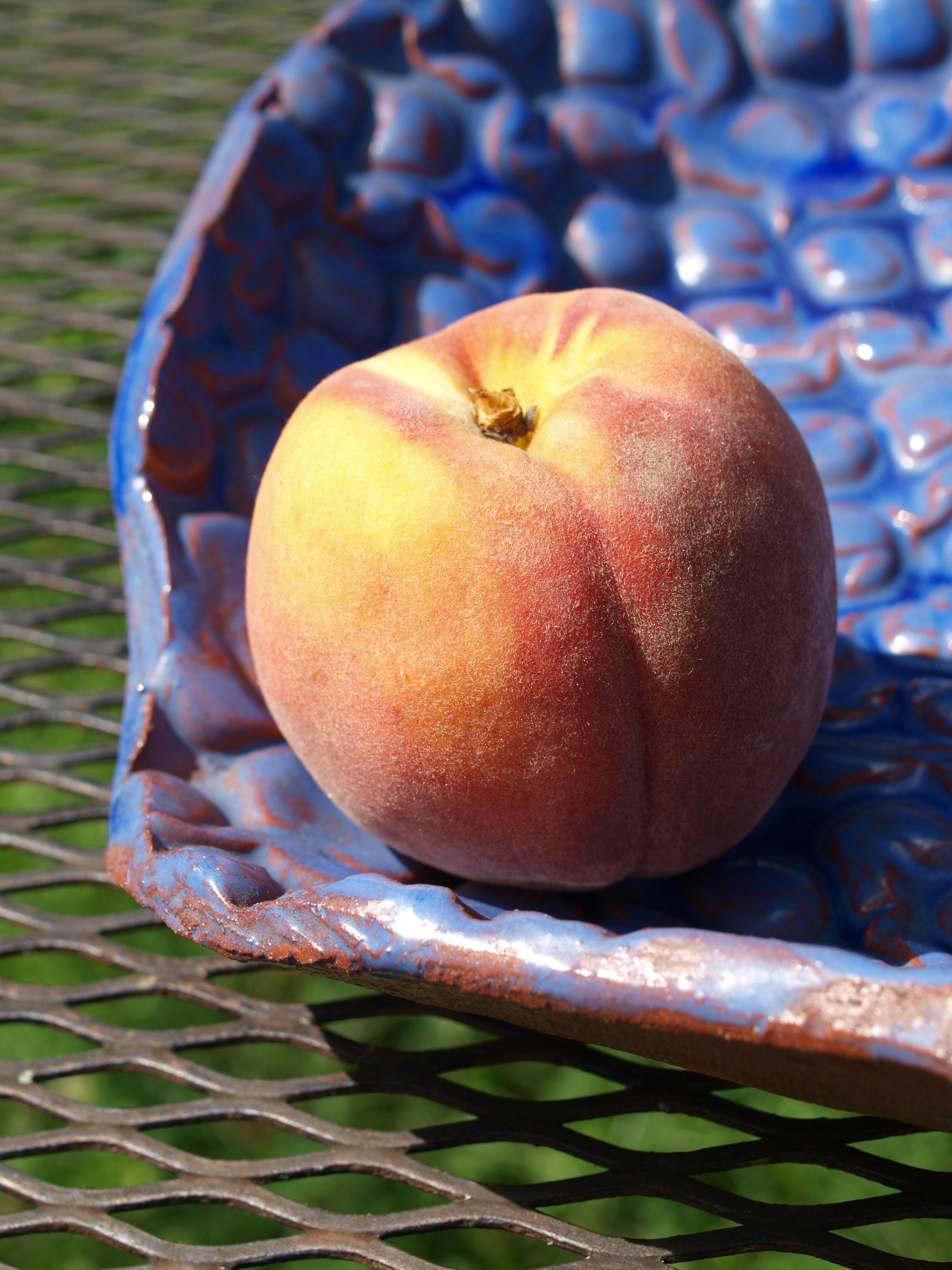 Warm peach cobbler with golden crust in white ceramic dish, soft warm light, dark moody backdrop