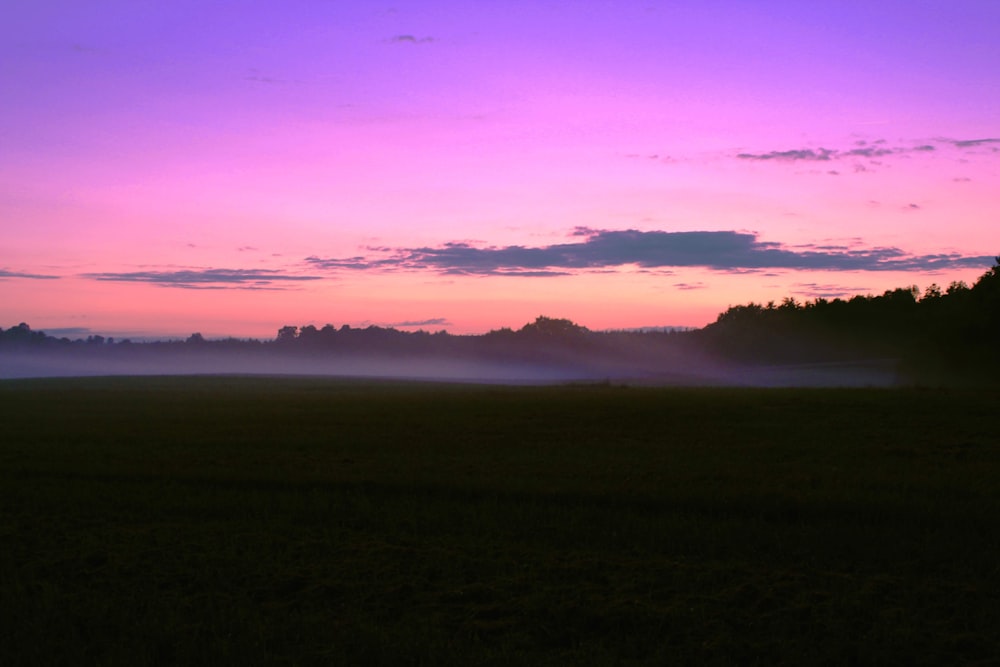 silhouette of trees