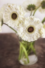 white flower