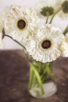 white flower