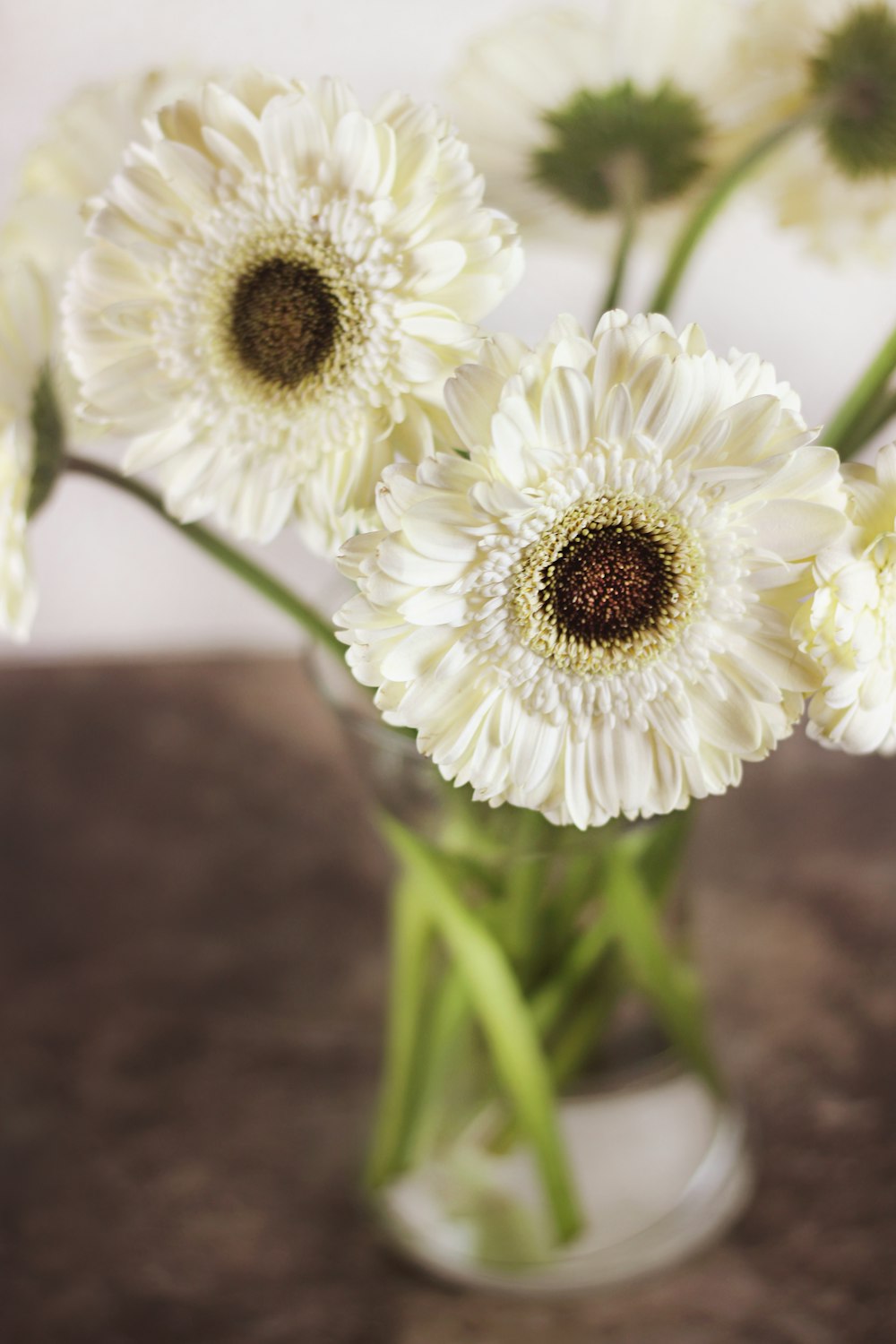 white flower