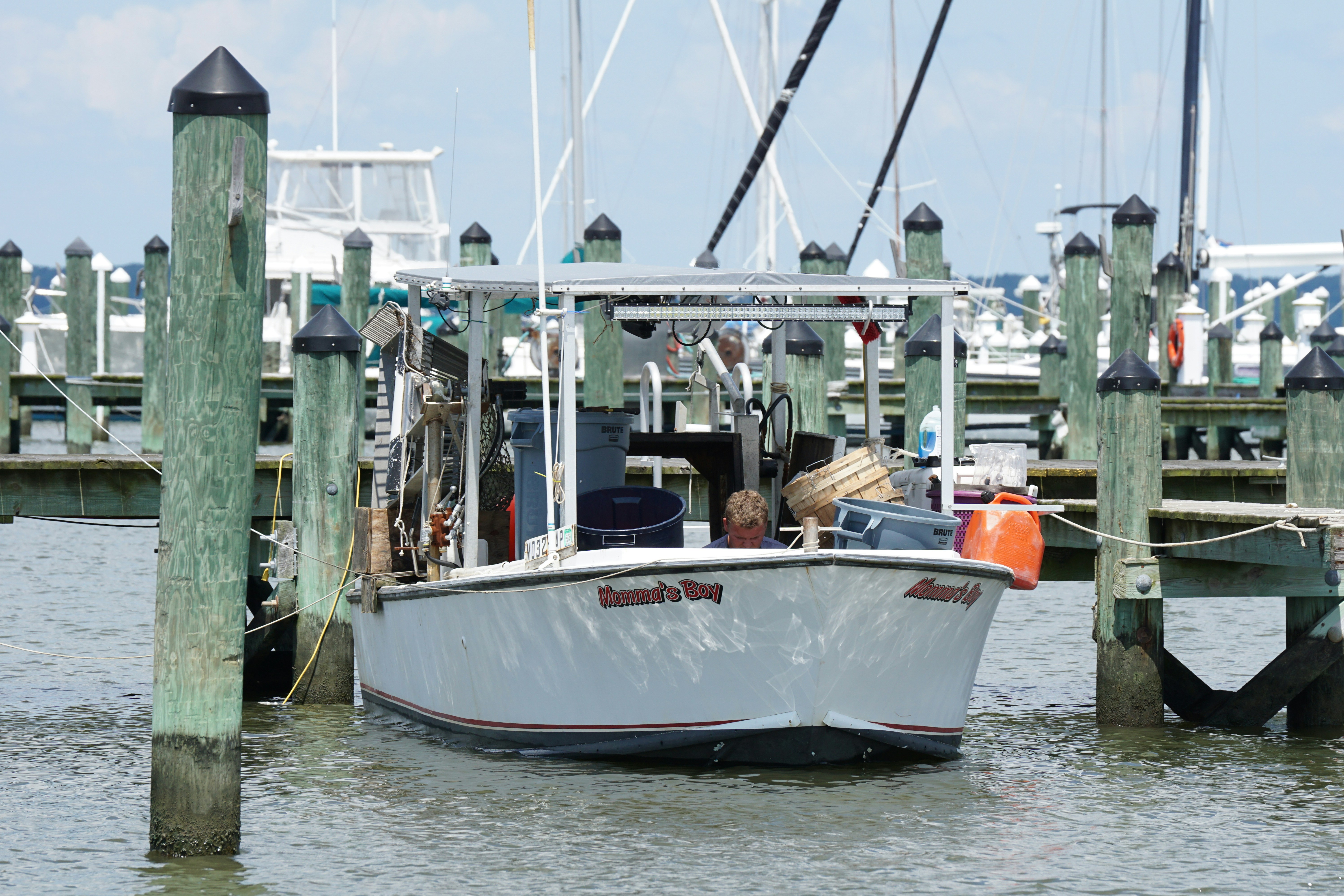 Photo by jeffreyflin