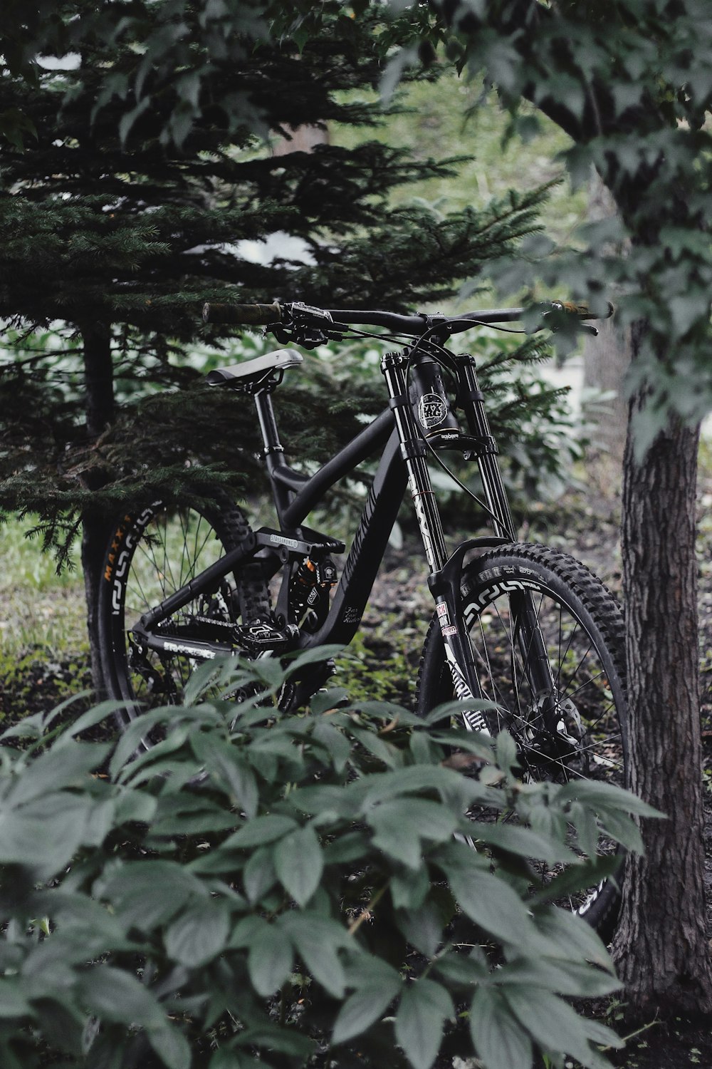 black hardtail bike