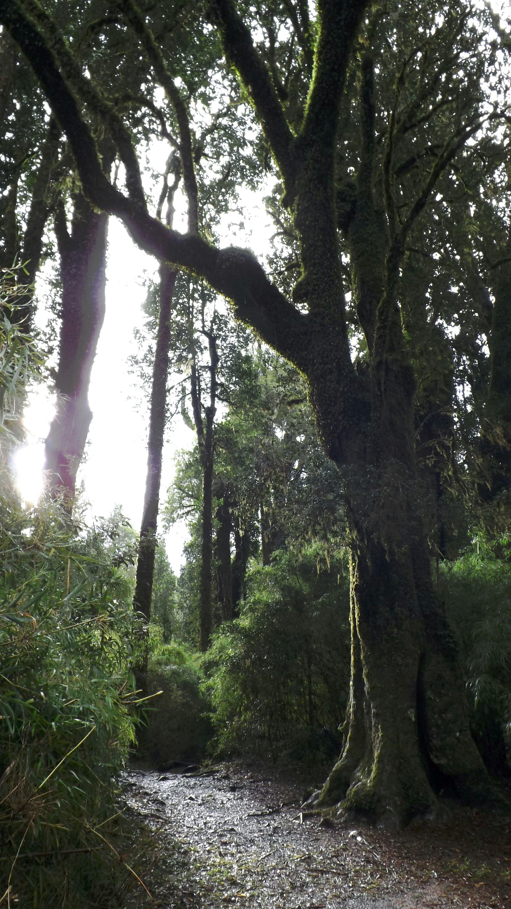 Photo by mauro_arrue