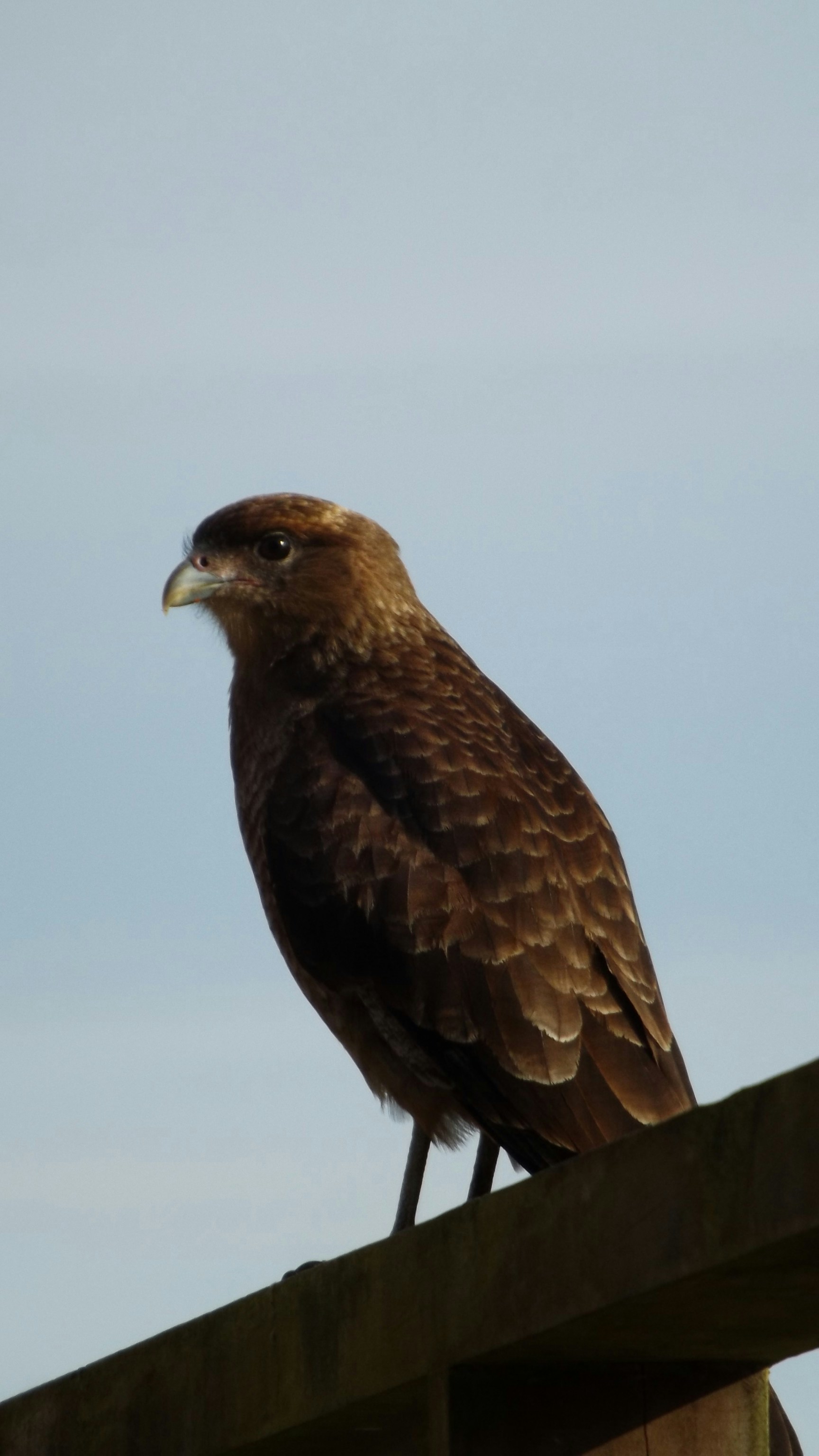 Photo by mauro_arrue