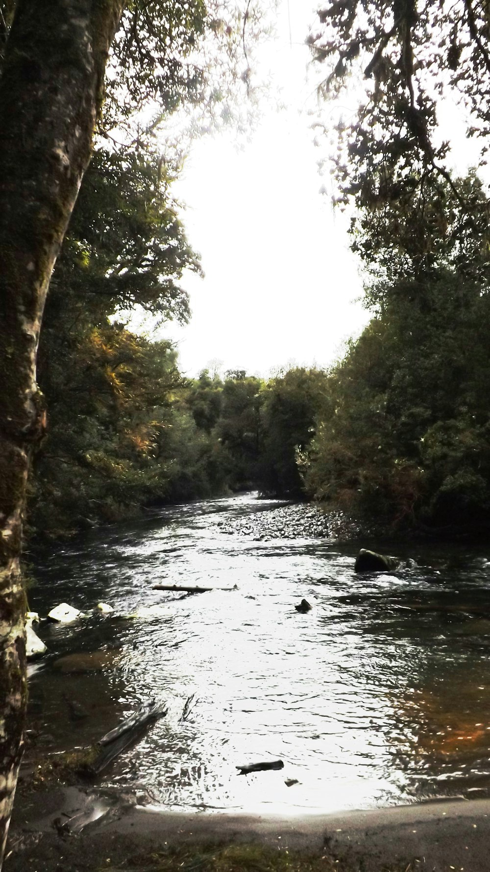 flowing body of water