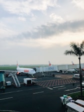 An airport scene with a parked airplane at a terminal gate. The airplane is connected to the gate via a jet bridge. Airport personnel and ground support vehicles are visible near the plane. The sky is overcast, creating a slightly moody atmosphere, and a palm tree is on the right side of the image.