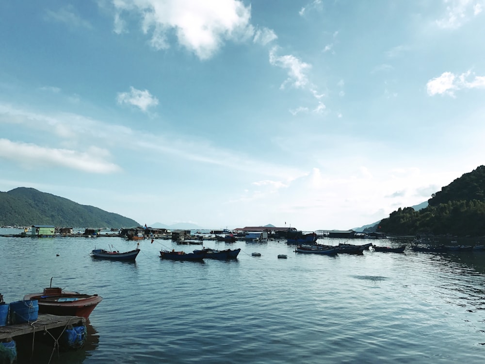 brown boats