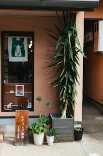 The call center adakami office entrance with welcoming signage and plants.