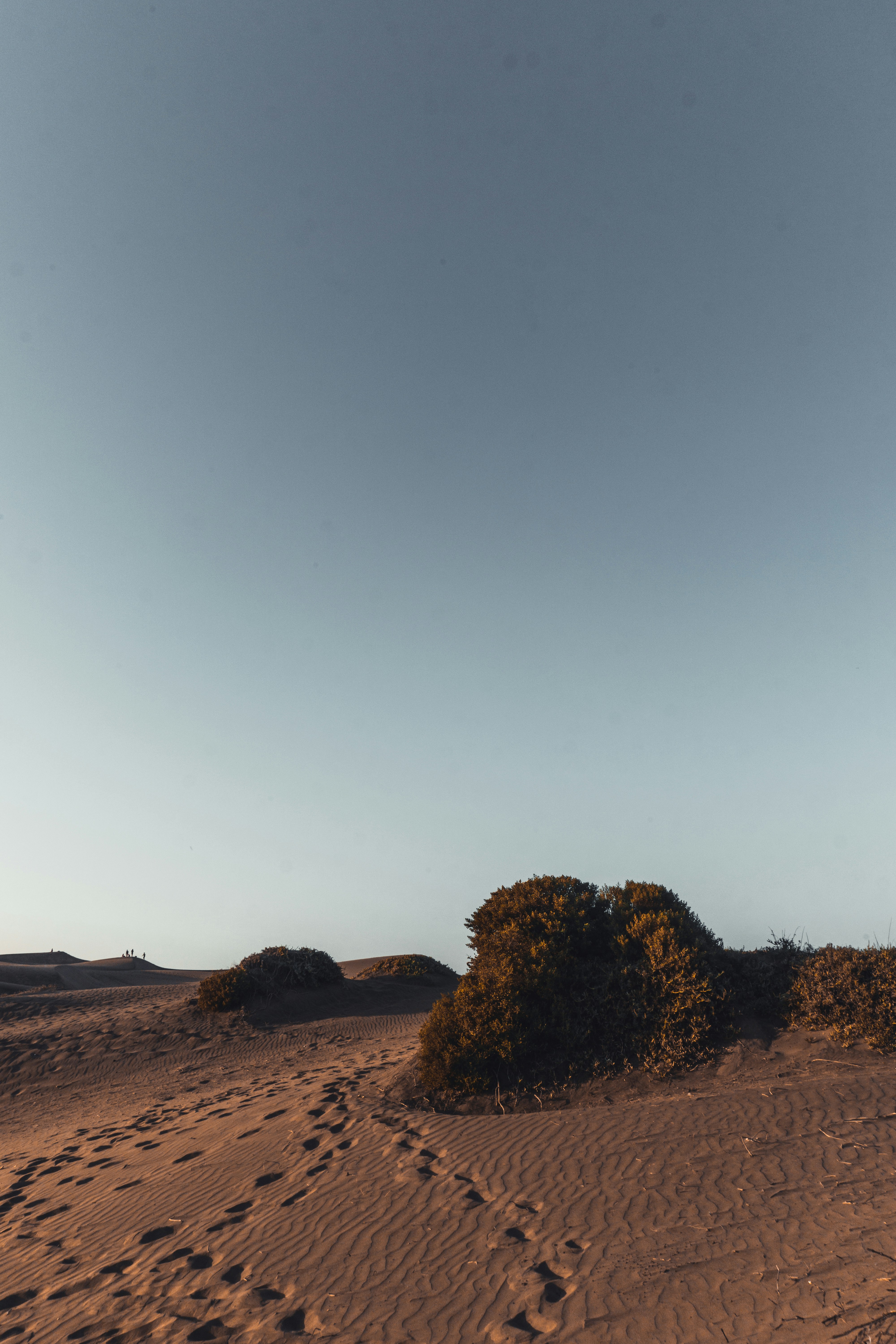 足跡のある砂漠の写真の写真 Unsplashで見つけるグレーの無料写真