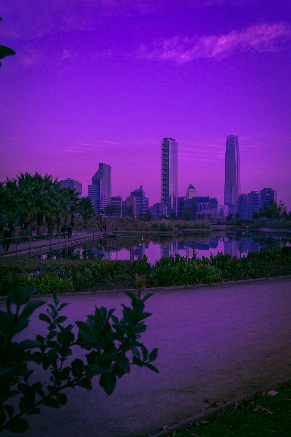 body of water and high rise buildings