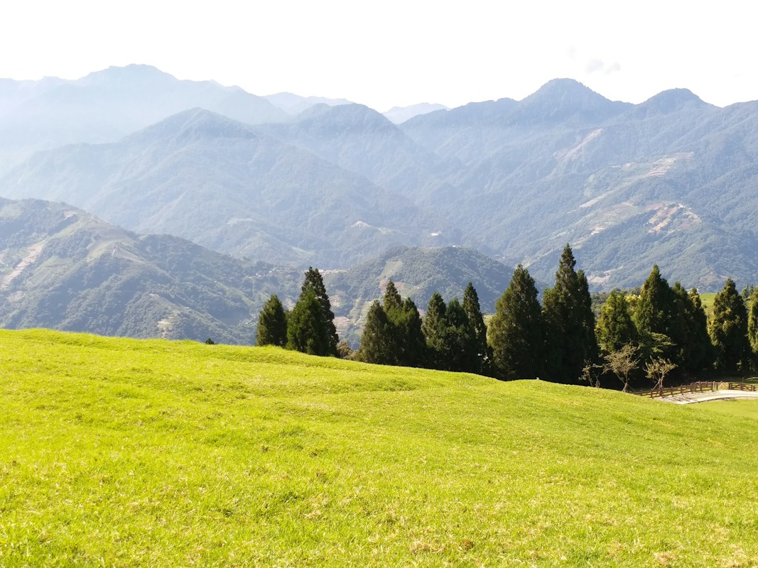南投仁愛鄉清境一帶的高山草原與一排杉木，遠方是層層山脈