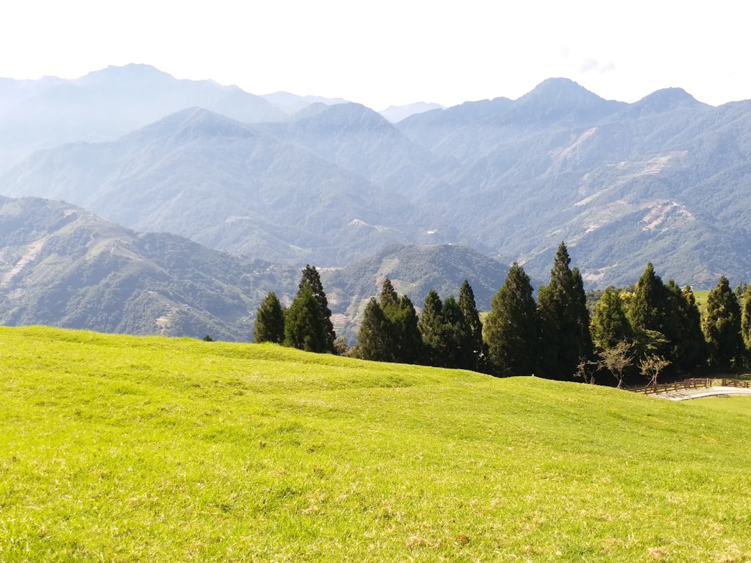 Hill station photo spot No. 170號 Alishan