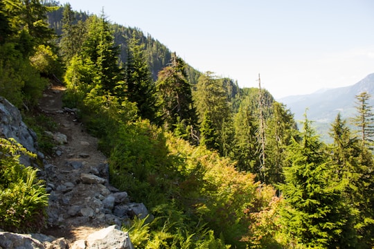 A narrow trail weaving through dense forested mountains under a clear blue sky.