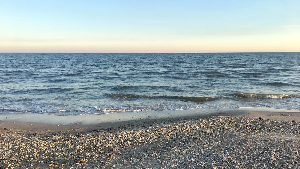 seashore during daytime