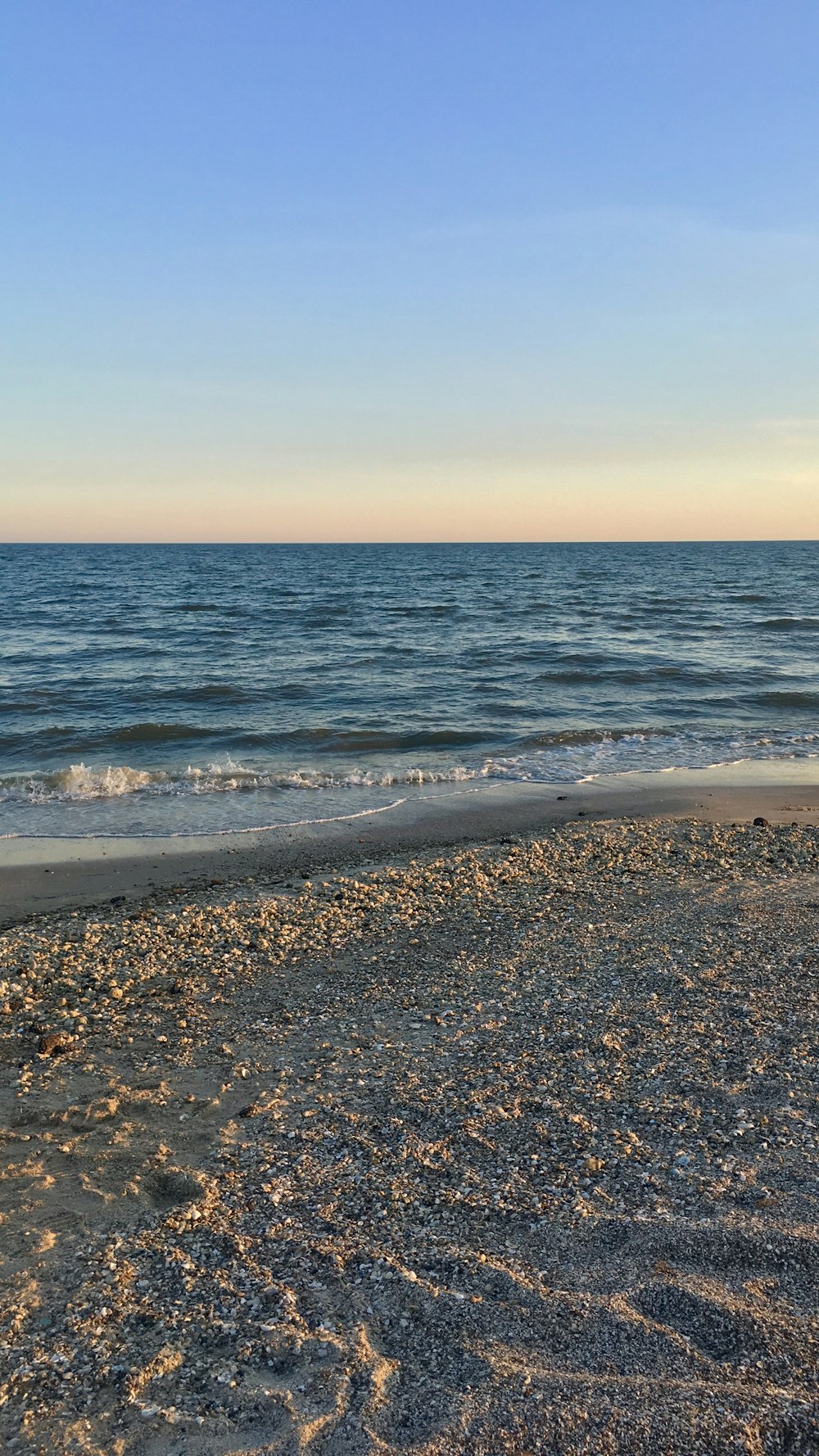 sandy sea shore during daytime