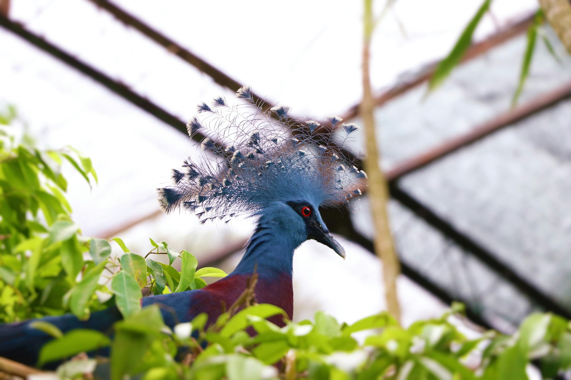 Exploring Equatorial Guinea: A Comprehensive Travel Guide